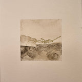 Abstract Studies