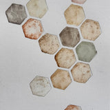 Ground Studies - Hexagon (2026)