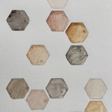 Ground Studies - Hexagon (2026)