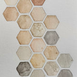Ground Studies - Hexagon (2026)