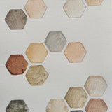 Ground Studies - Hexagon (2026)
