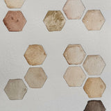 Ground Studies - Hexagon (2026)