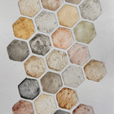 Ground Studies - Hexagon (2026)