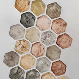 Ground Studies - Hexagon (2026)