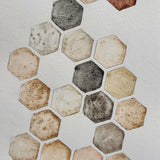 Ground Studies - Hexagon (2026)