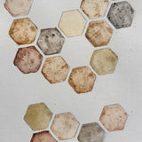 Ground Studies - Hexagon (2026)