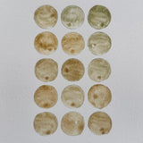 Ground Studies - Small Circles (2026)
