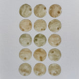 Ground Studies - Small Circles (2026)