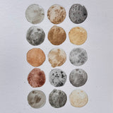 Ground Studies - Small Circles (2026)