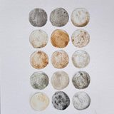 Ground Studies - Small Circles (2026)