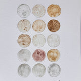 Ground Studies - Small Circles (2026)
