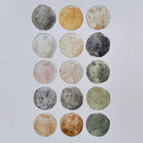 Ground Studies - Small Circles (2026)