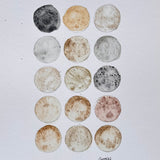 Ground Studies - Small Circles (2026)