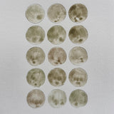 Ground Studies - Small Circles (2026)
