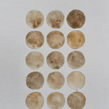 Ground Studies - Small Circles (2026)