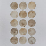 Ground Studies - Small Circles (2026)