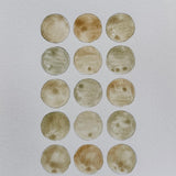 Ground Studies - Small Circles (2026)