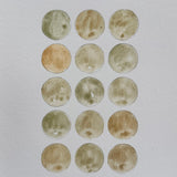 Ground Studies - Small Circles (2026)