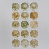 Ground Studies - Small Circles (2026)