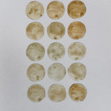 Ground Studies - Small Circles (2026)
