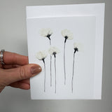 Arctic Cotton Flower Cards