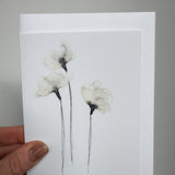Arctic Cotton Flower Cards