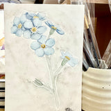 Northern Blue Issue 001 Forget Me Not | Archive Print