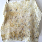Plant Dyed Silk Scarf 20x20